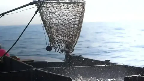 Fresh Seafood Delivered to Your Door